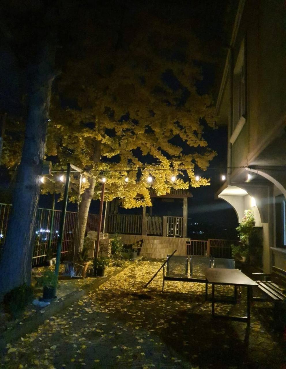 Hotel Gt House Batoumi Extérieur photo